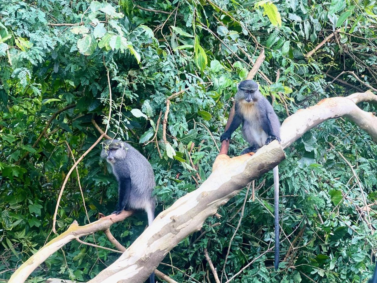 Апартаменти Eden Wilds 72 Порт-Едвард Екстер'єр фото